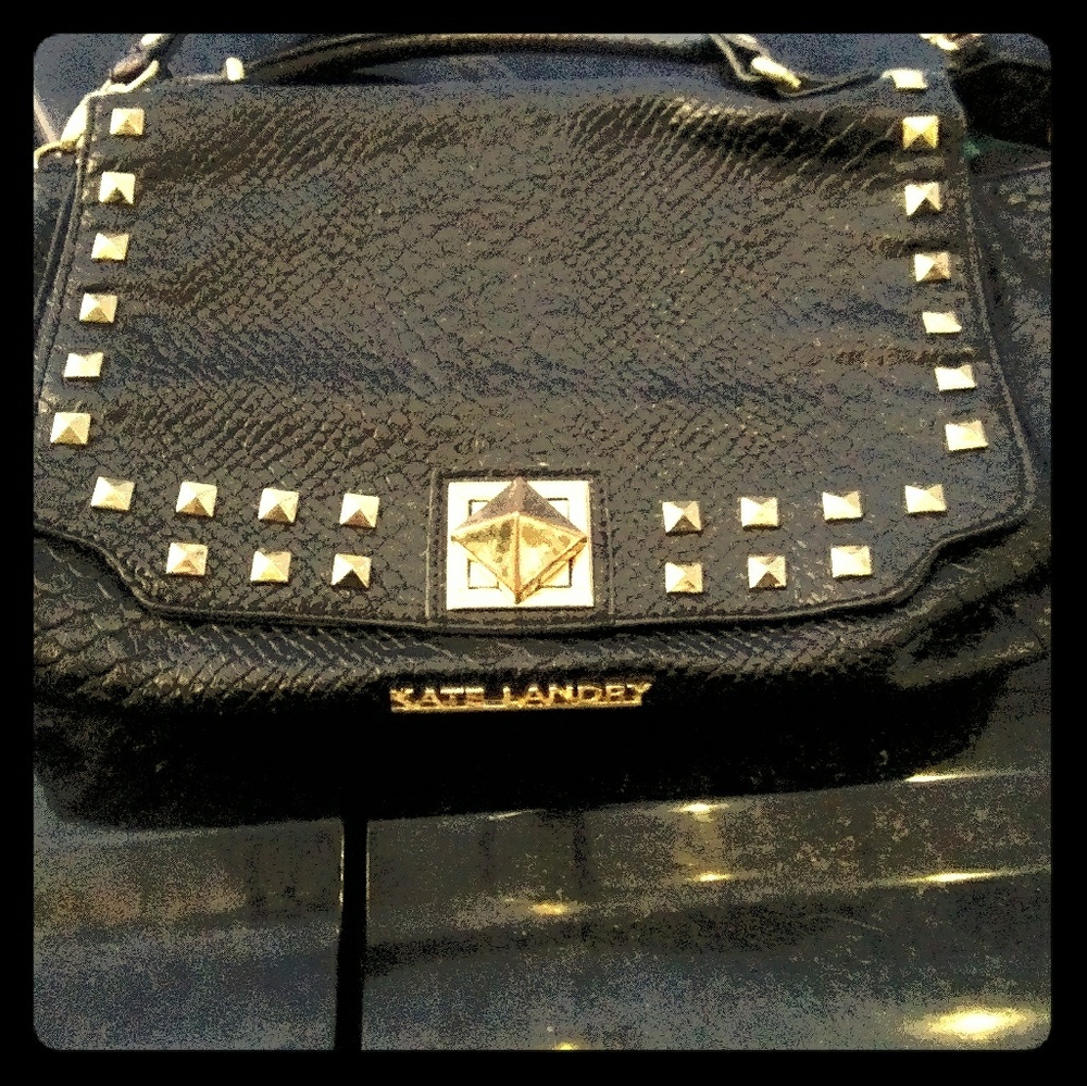 Kate landry Rattlesnake purse